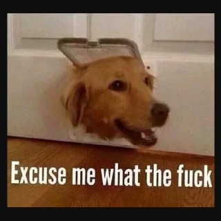 Sticker ya.e stickers - 7