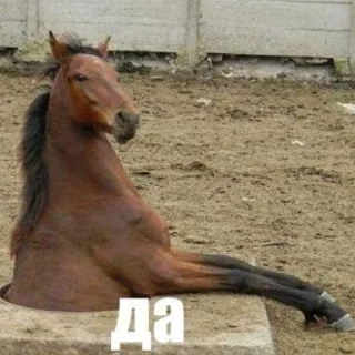 Sticker ya.e stickers - 5