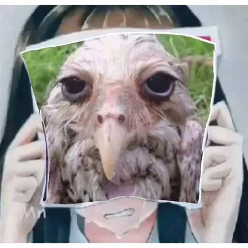 солевая 🧂🦉 - 