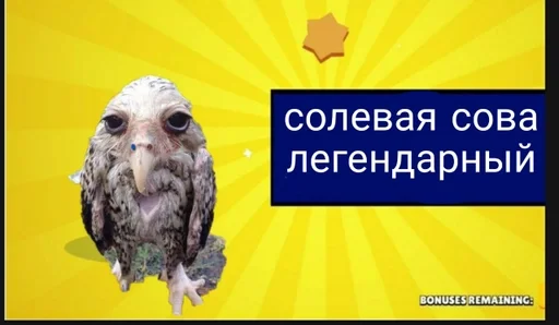 Sticker соль сова :: @fStikBot - 9