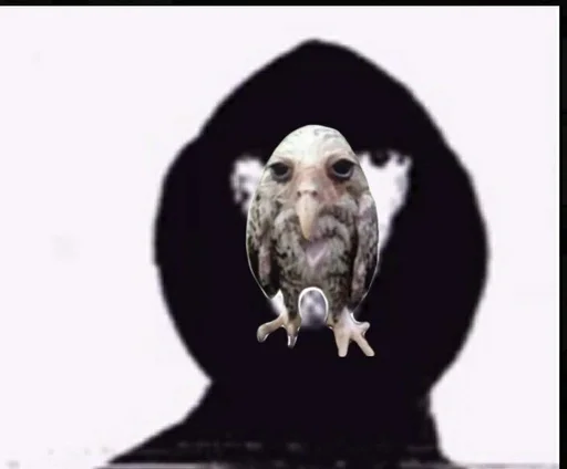 Sticker соль сова :: @fStikBot - 8