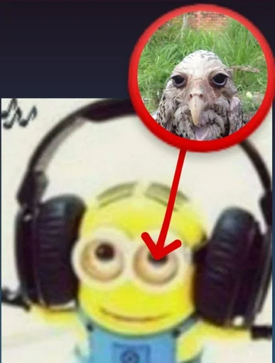 Sticker соль сова :: @fStikBot - 4