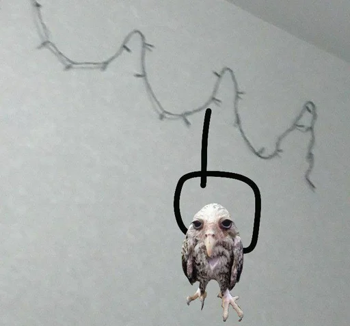 Sticker соль сова :: @fStikBot - 3