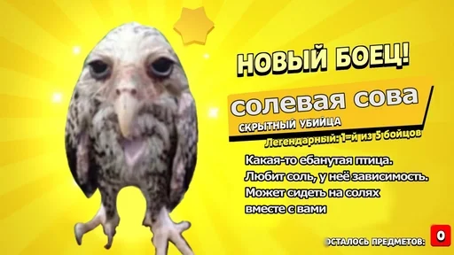 СМС хищная птица птица