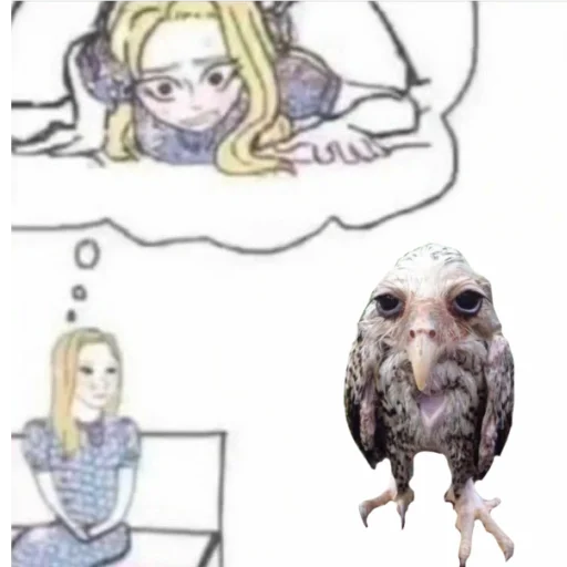 эскиз рисование сова