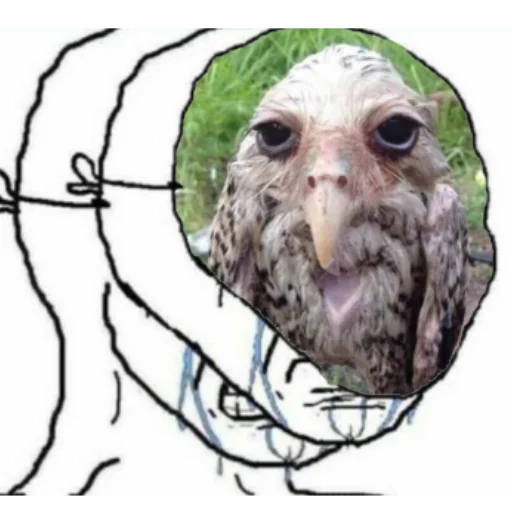 эскиз животное искусство