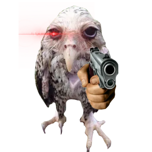 птица животное