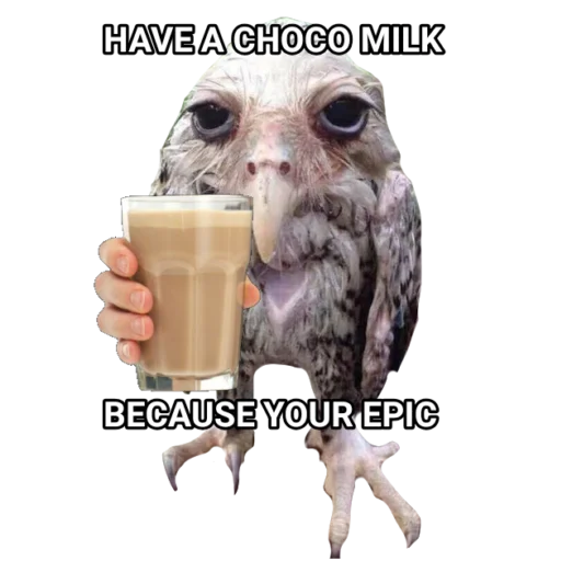 хищная птица сова пить