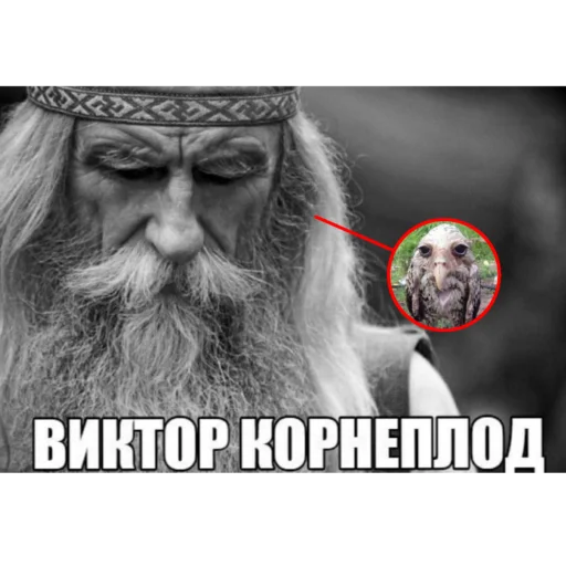 человеческая борода мужчина СМС