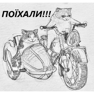 Sticker Соля - 9