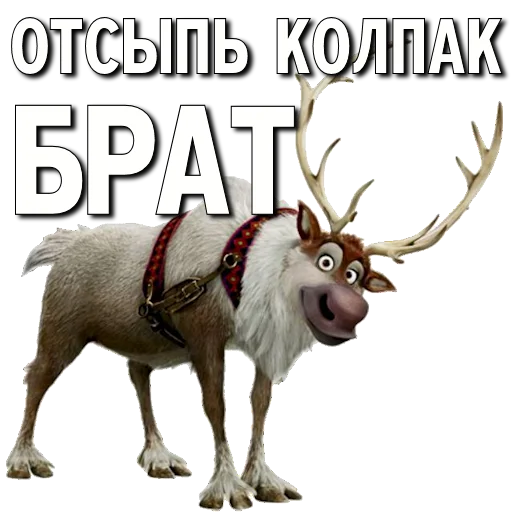 СМС животное млекопитающее