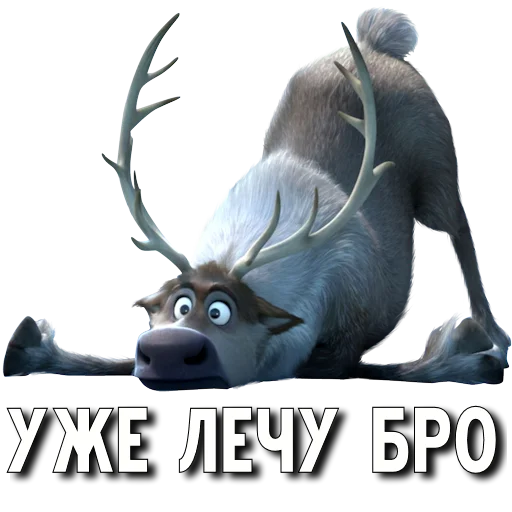 СМС животное рог