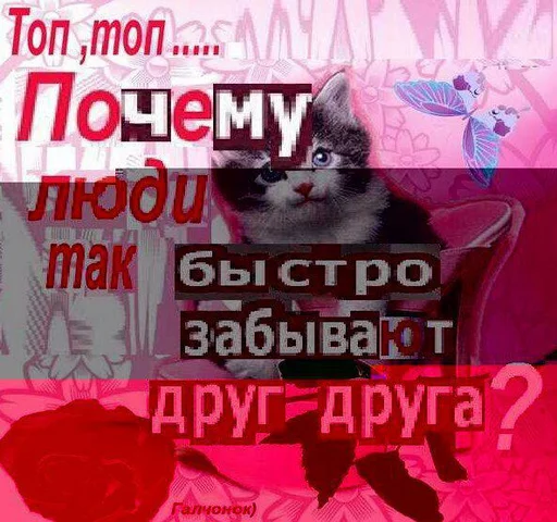 Солнце не дарит улыбки - 