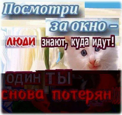 Стикер Солнце не дарит улыбки - 10