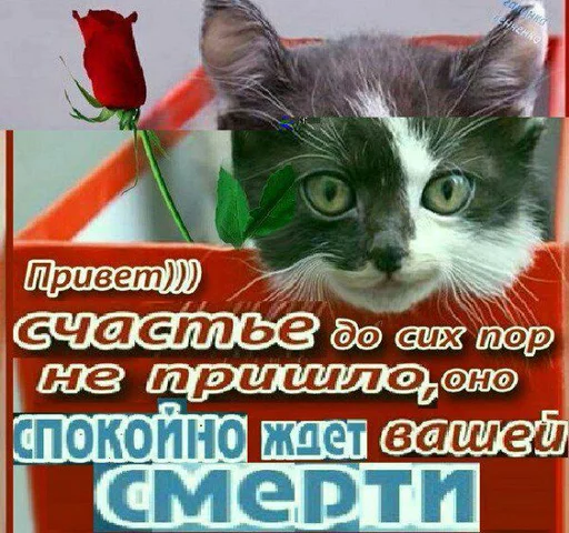 Стикер Солнце не дарит улыбки - 6