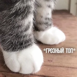 Sticker Солянка - 7