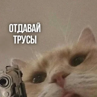 Sticker Солянка - 9