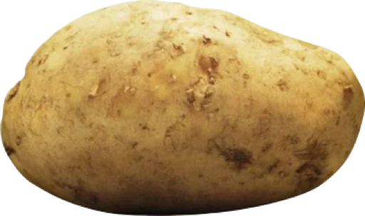 food root vegetable potato