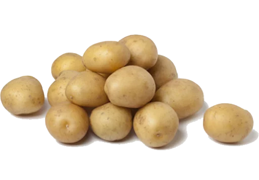 potato russet burbank potato yukon gold potato