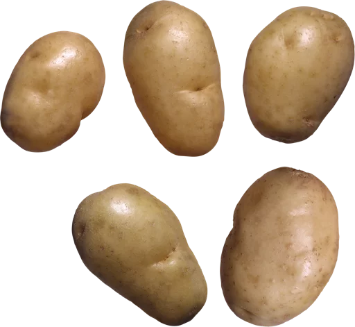 potato