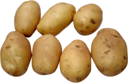 potato food russet burbank potato