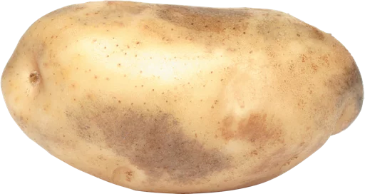 food potato
