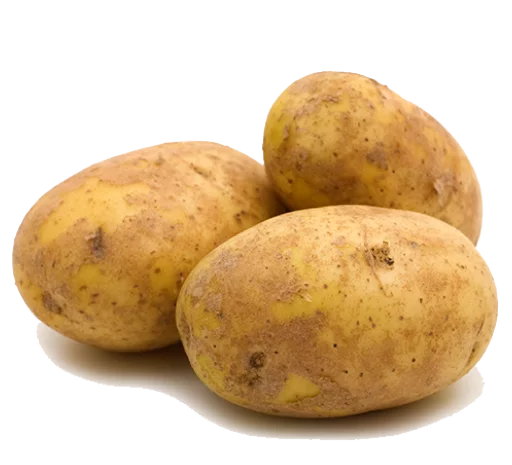 produce root vegetable russet burbank potato