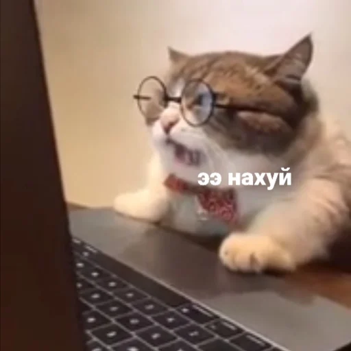 Sticker Some cringe - 9