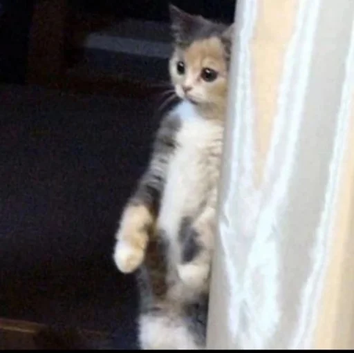 Sticker Some cringe - 4