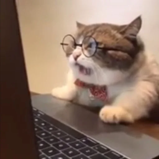 Sticker Some cringe - 3