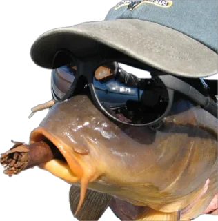 Sticker Сомик одиночка - 10