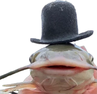 Sticker Сомик одиночка - 8