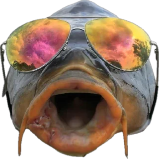 Sticker Сомик одиночка - 2