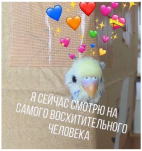 Sticker их сделала я - 11