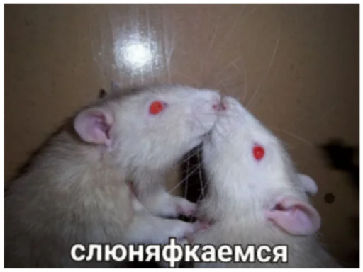 Sticker их сделала я - 8