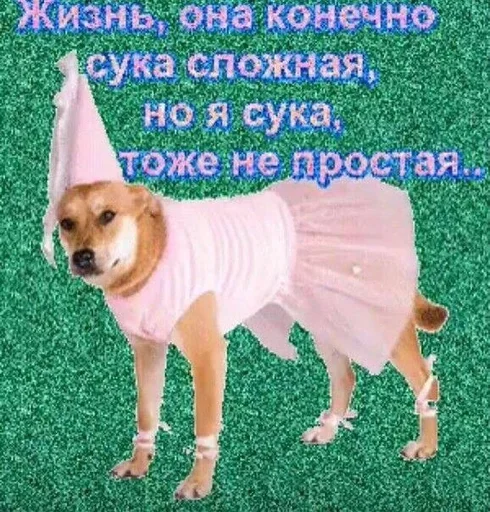 Sticker соня лучшая :: @fStikBot - 9