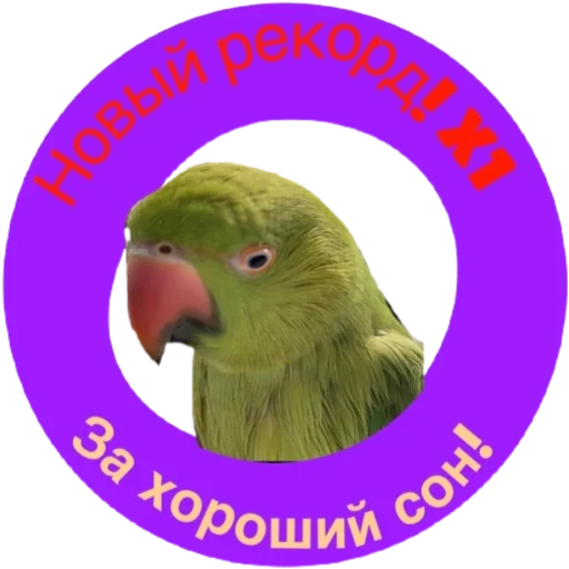 Сон - 