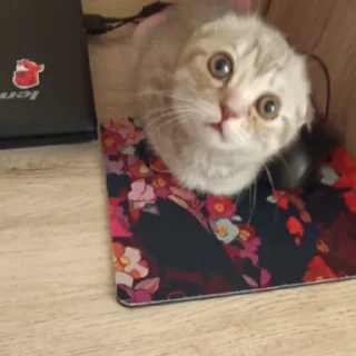 Sticker сонечка фашист - 9