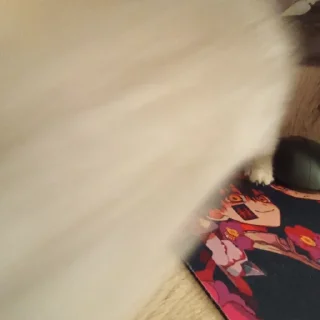 Sticker сонечка фашист - 0