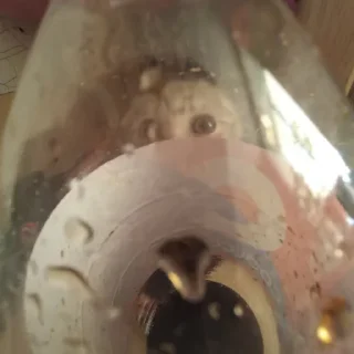 Sticker сонечка фашист - 7