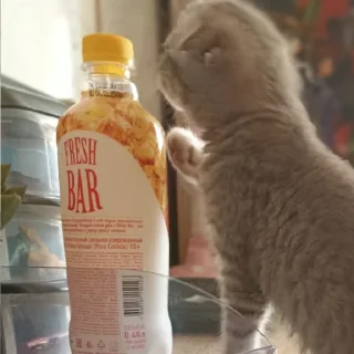 Sticker сонечка фашист - 10