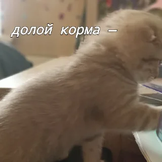 Sticker сонечка фашист - 1