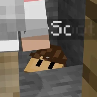 Стикер суси сасут - 11