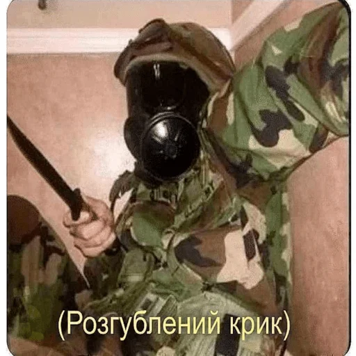 weapon rifle camouflage