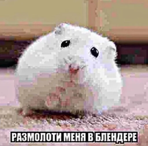 люблю машу - 