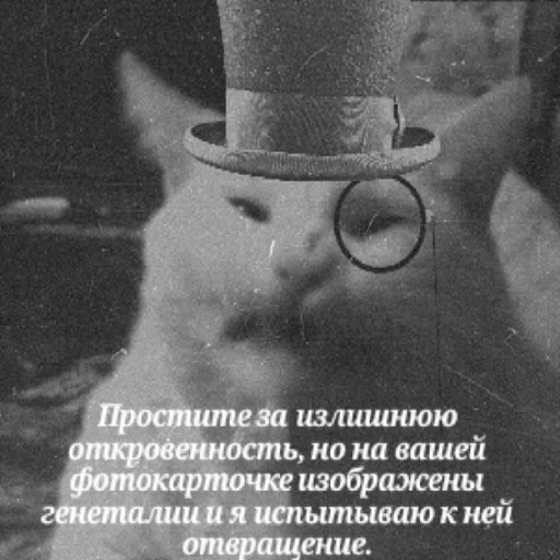 stickers пе4ки 🥵🤤@xanaxluv - 