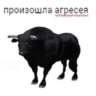 Стикер 81+ - 5