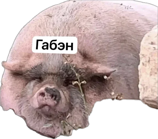 Sticker sosohryu - 1