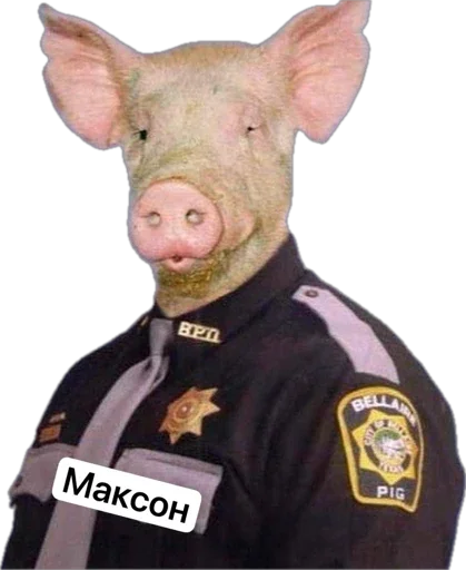 Sticker sosohryu - 1