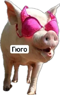 Стикер БОЕВЫЕ СОZИОНИЧЕСКИЕ СВИНЬИ УИИИИИ - 6